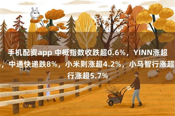 手机配资app 中概指数收跌超0.6%，YINN涨超3.1%，中通快递跌8%，小米则涨超4.2%，小马智行涨超5.7%