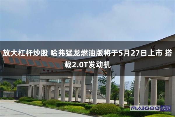 放大杠杆炒股 哈弗猛龙燃油版将于5月27日上市 搭载2.0T发动机