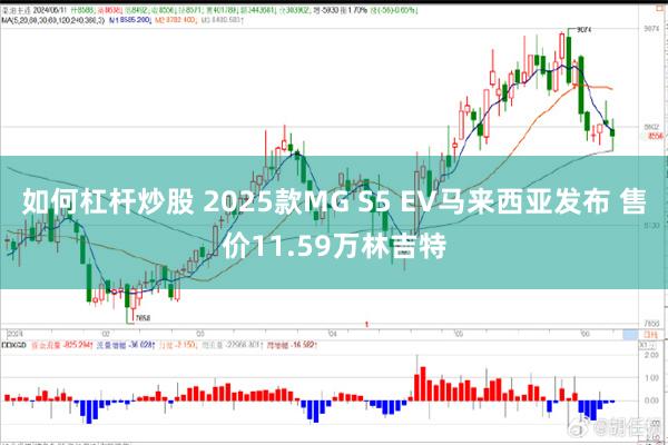 如何杠杆炒股 2025款MG S5 EV马来西亚发布 售价11.59万林吉特