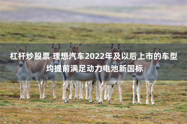 杠杆炒股票 理想汽车2022年及以后上市的车型 均提前满足动力电池新国标