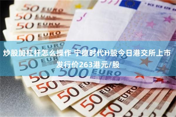 炒股加杠杆怎么操作 宁德时代H股今日港交所上市 发行价263港元/股