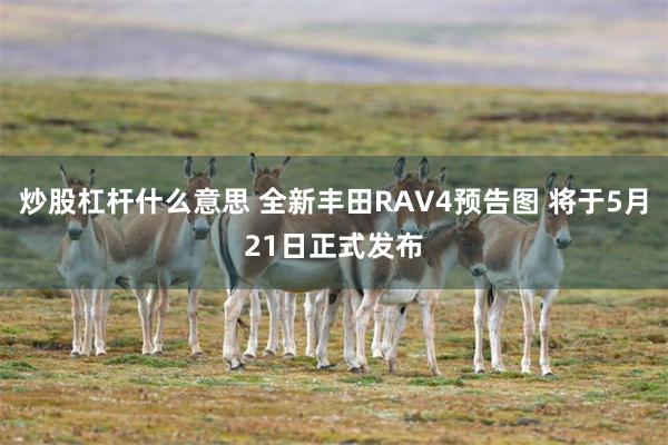 炒股杠杆什么意思 全新丰田RAV4预告图 将于5月21日正式发布