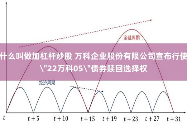 什么叫做加杠杆炒股 万科企业股份有限公司宣布行使＂22万科05＂债券赎回选择权