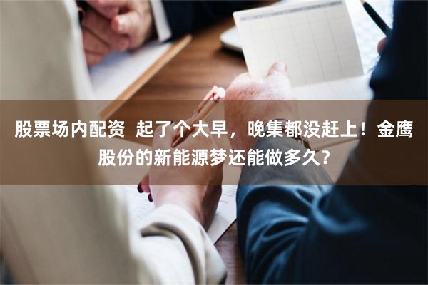 股票场内配资  起了个大早，晚集都没赶上！金鹰股份的新能源梦还能做多久？