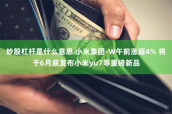 炒股杠杆是什么意思 小米集团-W午前涨超4% 将于6月底发布小米yu7等重磅新品
