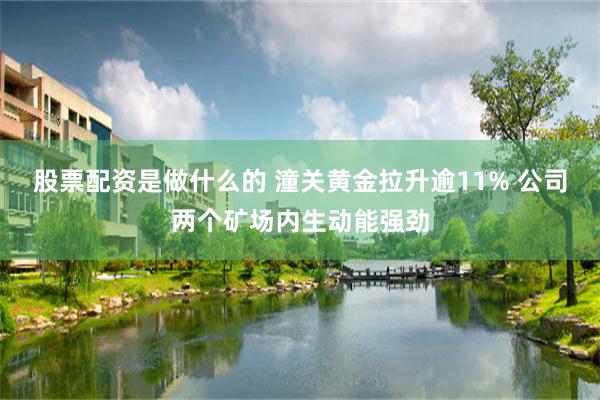 股票配资是做什么的 潼关黄金拉升逾11% 公司两个矿场内生动能强劲