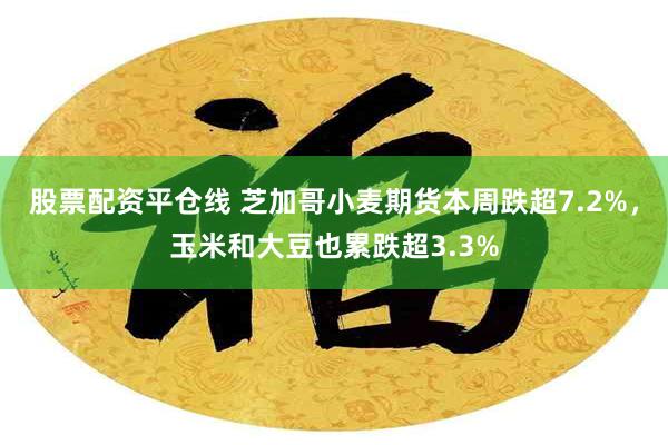 股票配资平仓线 芝加哥小麦期货本周跌超7.2%,玉米和大豆也累跌超3.3%