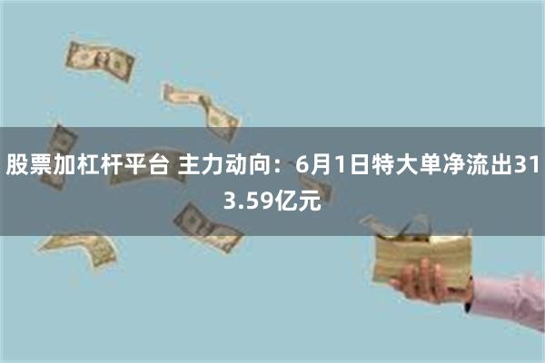 股票加杠杆平台 主力动向：6月1日特大单净流出313.59亿元