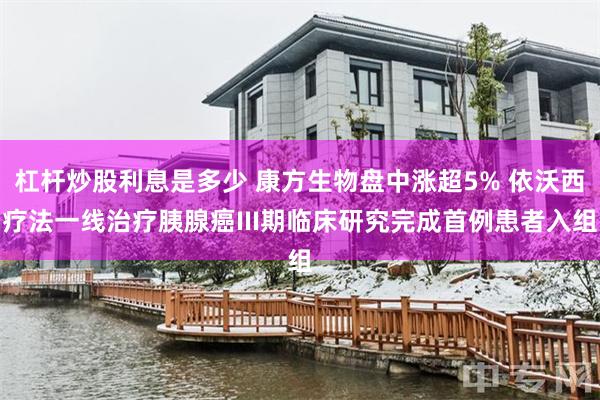 杠杆炒股利息是多少 康方生物盘中涨超5% 依沃西疗法一线治疗胰腺癌III期临床研究完成首例患者入组