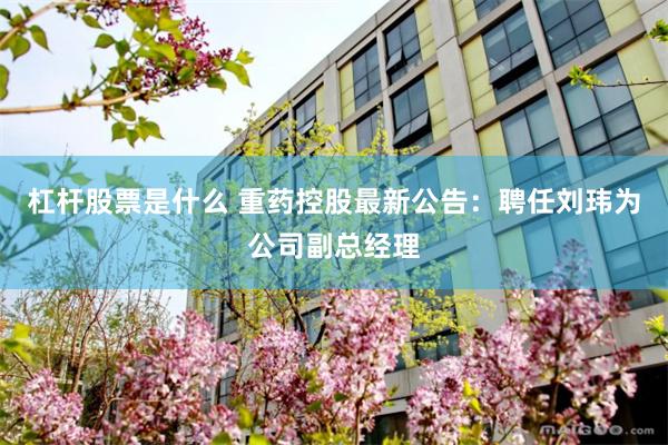 杠杆股票是什么 重药控股最新公告：聘任刘玮为公司副总经理