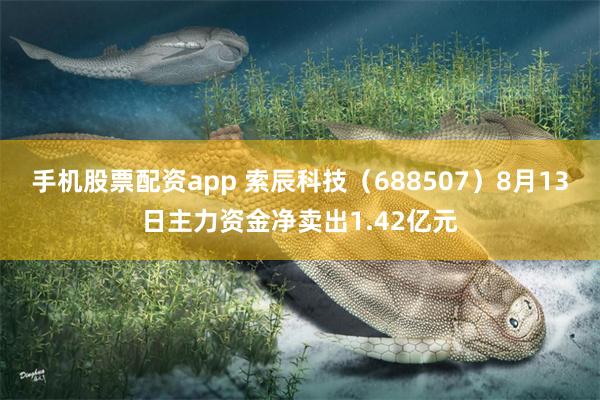 手机股票配资app 索辰科技（688507）8月13日主力资金净卖出1.42亿元