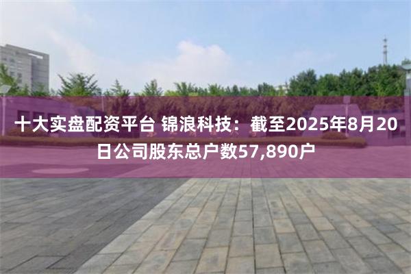 十大实盘配资平台 锦浪科技：截至2025年8月20日公司股东总户数57,890户