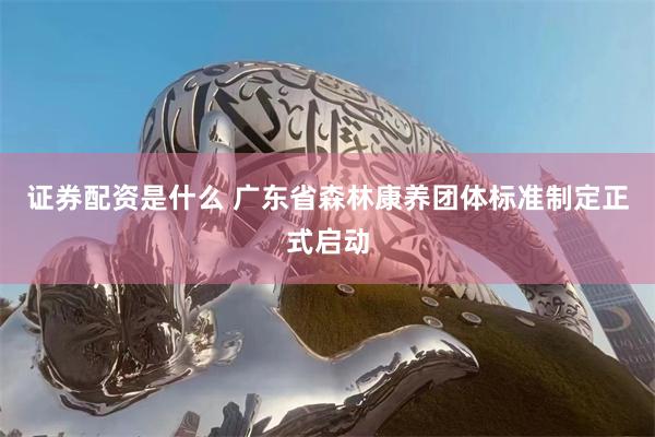 证券配资是什么 广东省森林康养团体标准制定正式启动