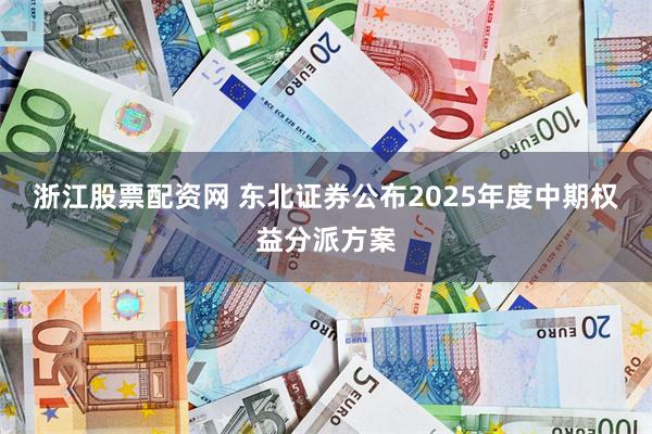 浙江股票配资网 东北证券公布2025年度中期权益分派方案