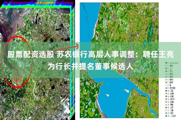 股票配资选股 苏农银行高层人事调整:聘任王亮为行长并提名董事候选人