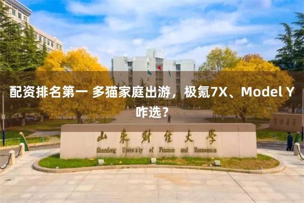 配资排名第一 多猫家庭出游，极氪7X、Model Y咋选？