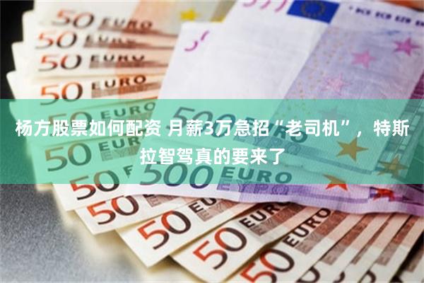 杨方股票如何配资 月薪3万急招“老司机”，特斯拉智驾真的要来了