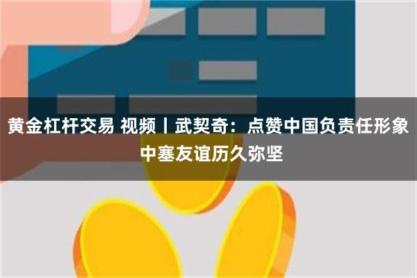 黄金杠杆交易 视频丨武契奇：点赞中国负责任形象 中塞友谊历久弥坚
