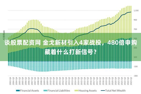 谈股票配资网 金戈新材引入4家战投,480倍申购藏着什么打新信号?