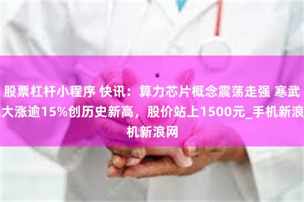 股票杠杆小程序 快讯：算力芯片概念震荡走强 寒武纪大涨逾15%创历史新高，股价站上1500元_手机新浪网