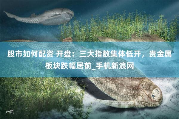 股市如何配资 开盘：三大指数集体低开，贵金属板块跌幅居前_手机新浪网