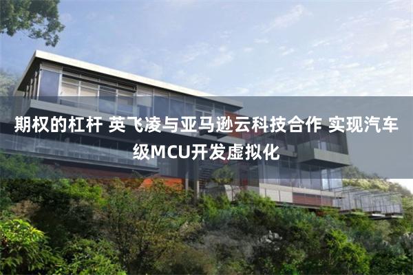 期权的杠杆 英飞凌与亚马逊云科技合作 实现汽车级MCU开发虚拟化