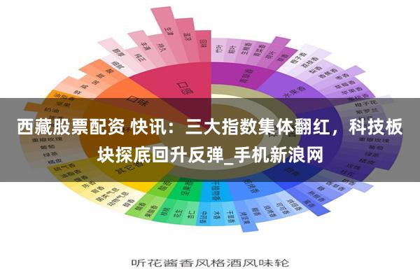 西藏股票配资 快讯：三大指数集体翻红，科技板块探底回升反弹_手机新浪网