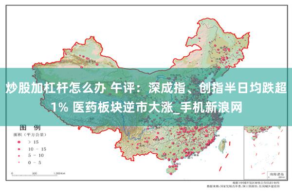 炒股加杠杆怎么办 午评：深成指、创指半日均跌超1% 医药板块逆市大涨_手机新浪网