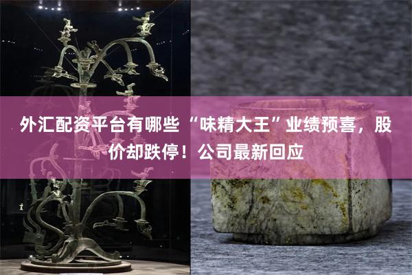 外汇配资平台有哪些 “味精大王”业绩预喜，股价却跌停！公司最新回应
