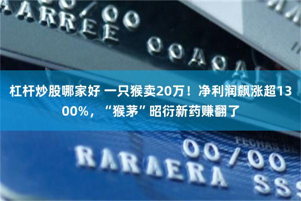 杠杆炒股哪家好 一只猴卖20万！净利润飙涨超1300%，“猴茅”昭衍新药赚翻了