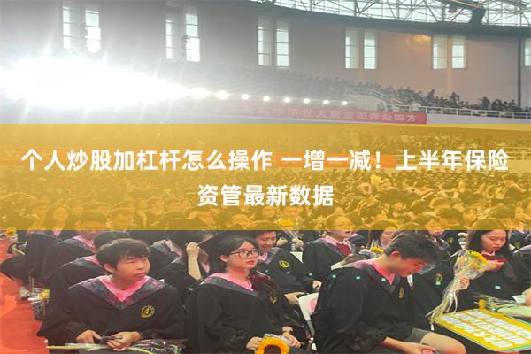 个人炒股加杠杆怎么操作 一增一减！上半年保险资管最新数据