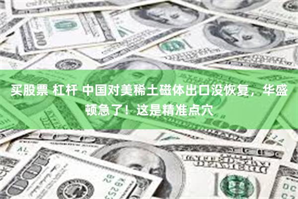 买股票 杠杆 中国对美稀土磁体出口没恢复，华盛顿急了！这是精准点穴