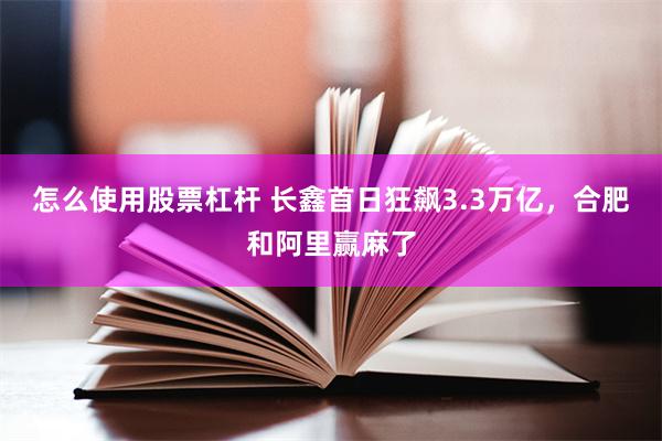 怎么使用股票杠杆 长鑫首日狂飙3.3万亿，合肥和阿里赢麻了