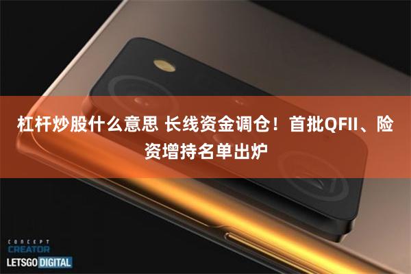 杠杆炒股什么意思 长线资金调仓！首批QFII、险资增持名单出炉