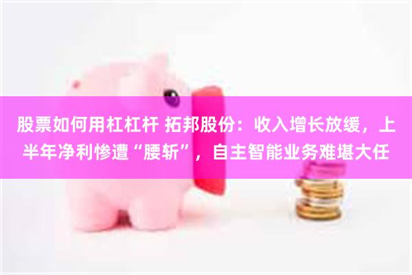 股票如何用杠杠杆 拓邦股份：收入增长放缓，上半年净利惨遭“腰斩”，自主智能业务难堪大任