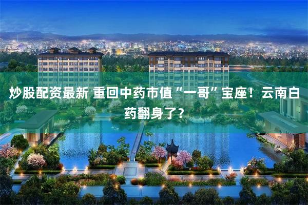 炒股配资最新 重回中药市值“一哥”宝座！云南白药翻身了？