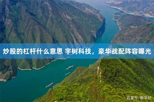 炒股的杠杆什么意思 宇树科技，豪华战配阵容曝光