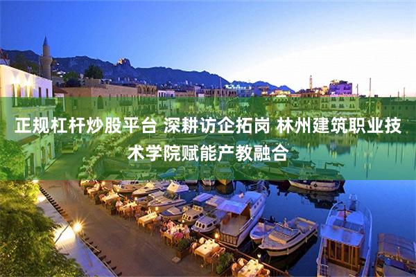 正规杠杆炒股平台 深耕访企拓岗 林州建筑职业技术学院赋能产教融合