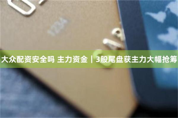 大众配资安全吗 主力资金|3股尾盘获主力大幅抢筹